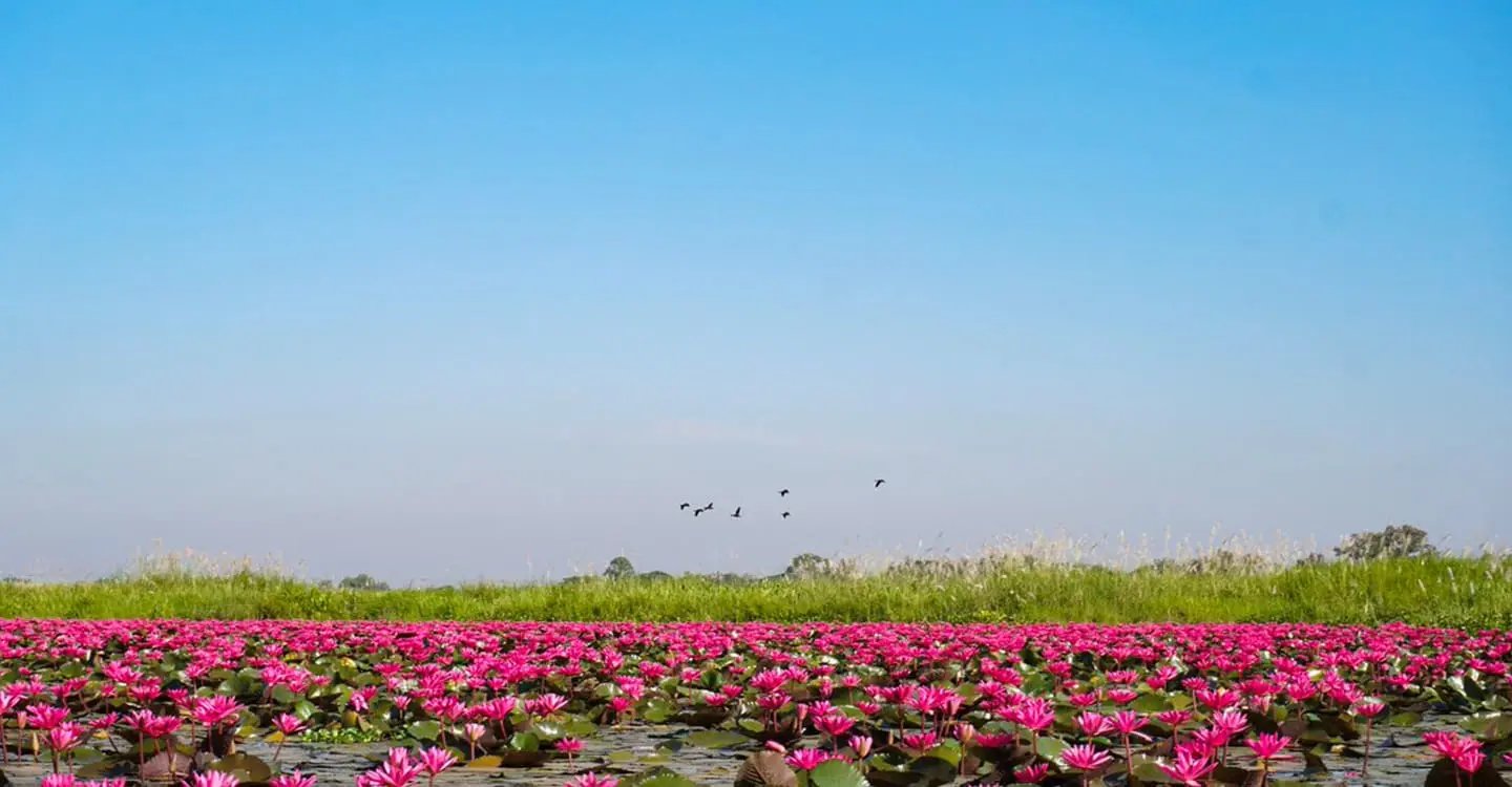 หนองคาย